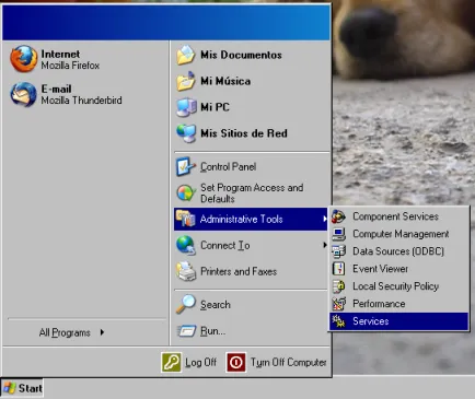 Ventana de Propiedades del servicio Remote Access Connection Manager
