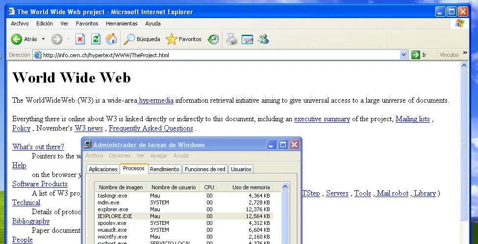 IE en Windows XP